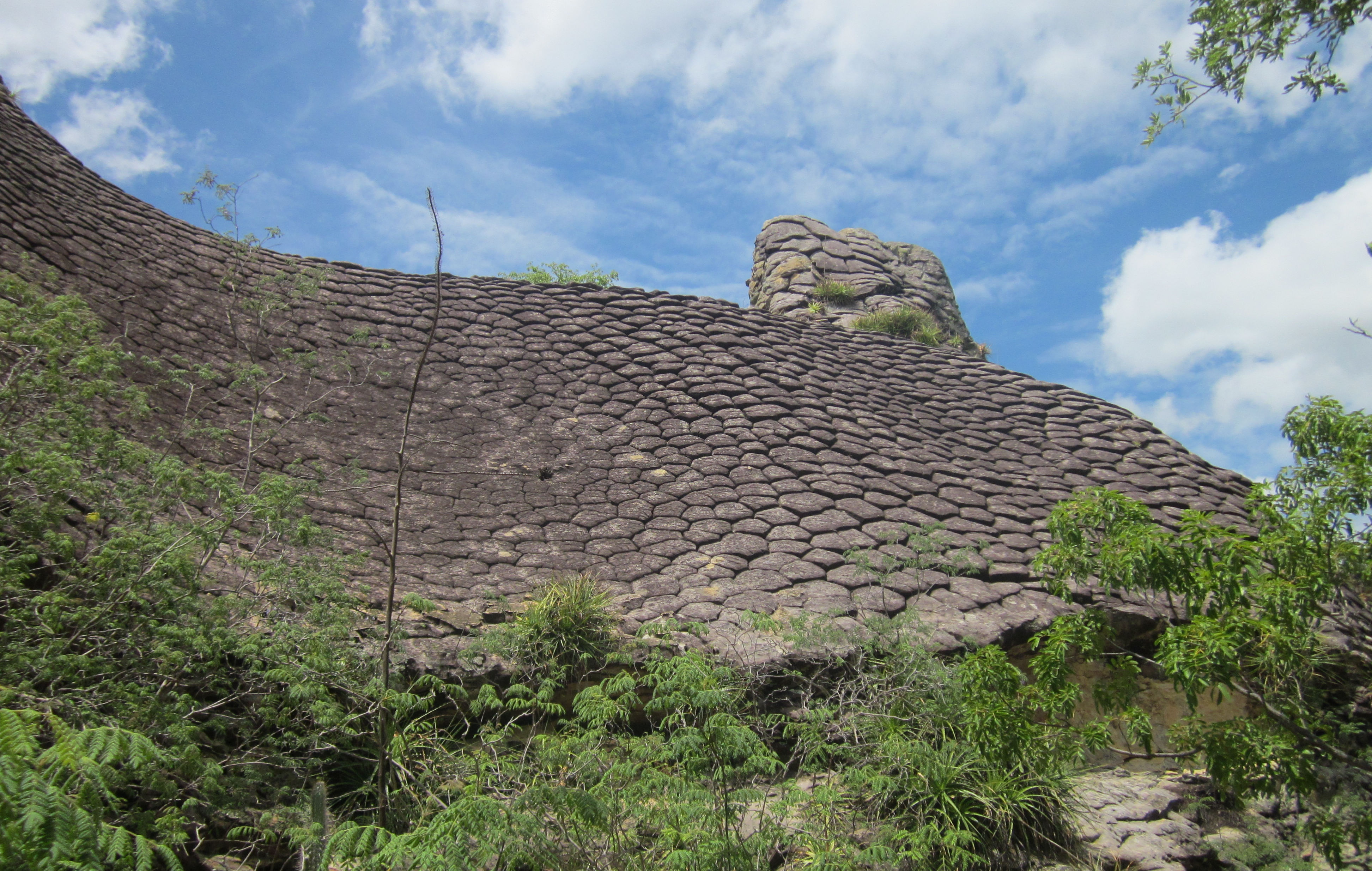 image Piaui