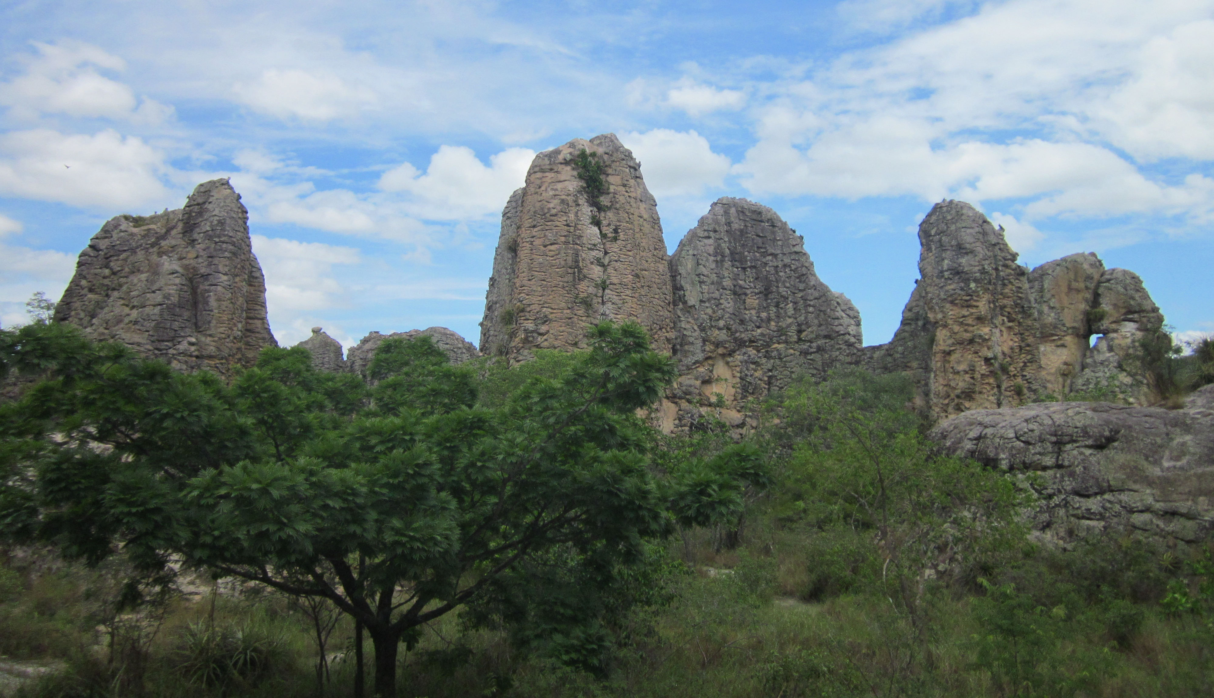 image Piaui