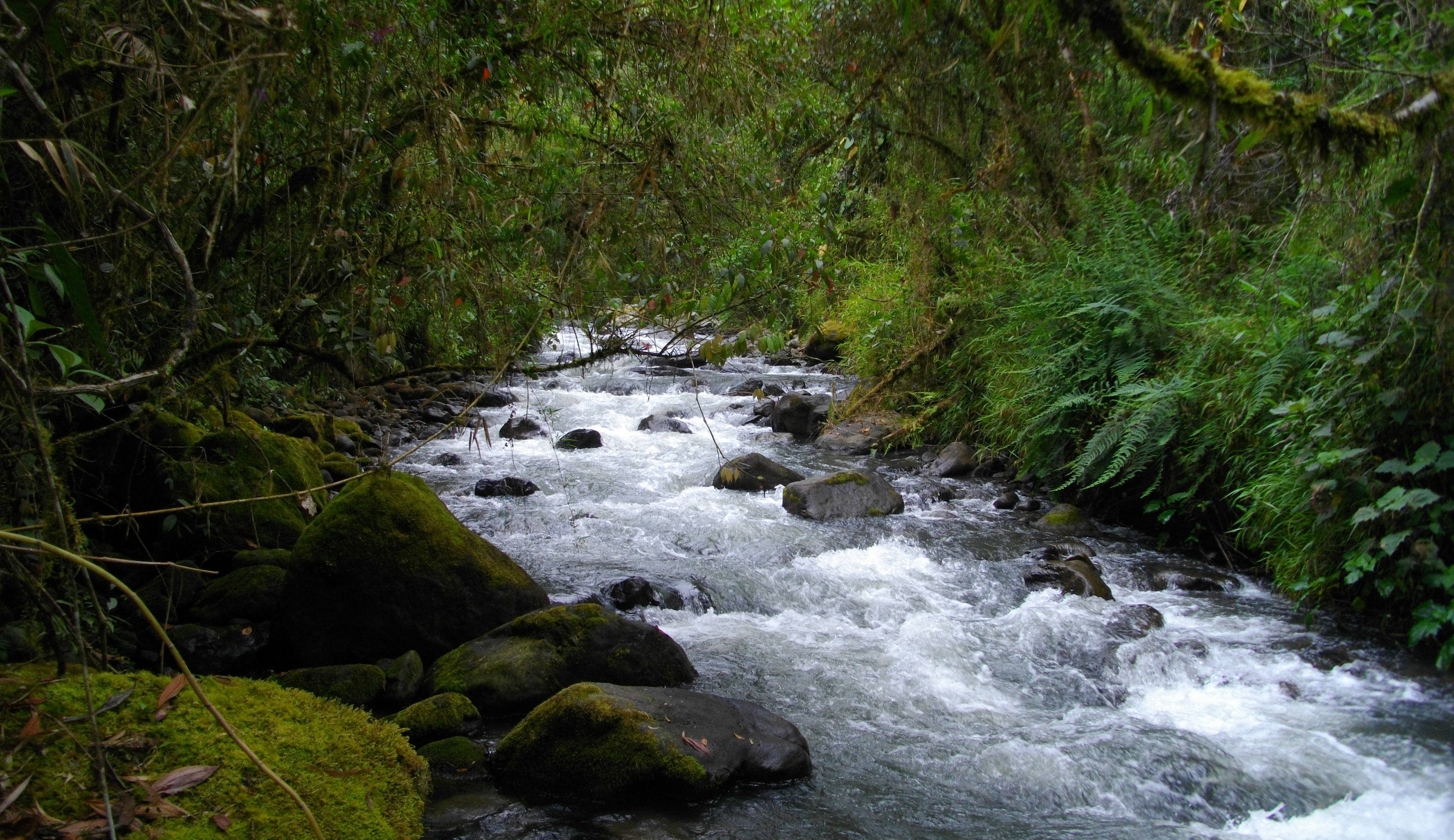 image El Páramo