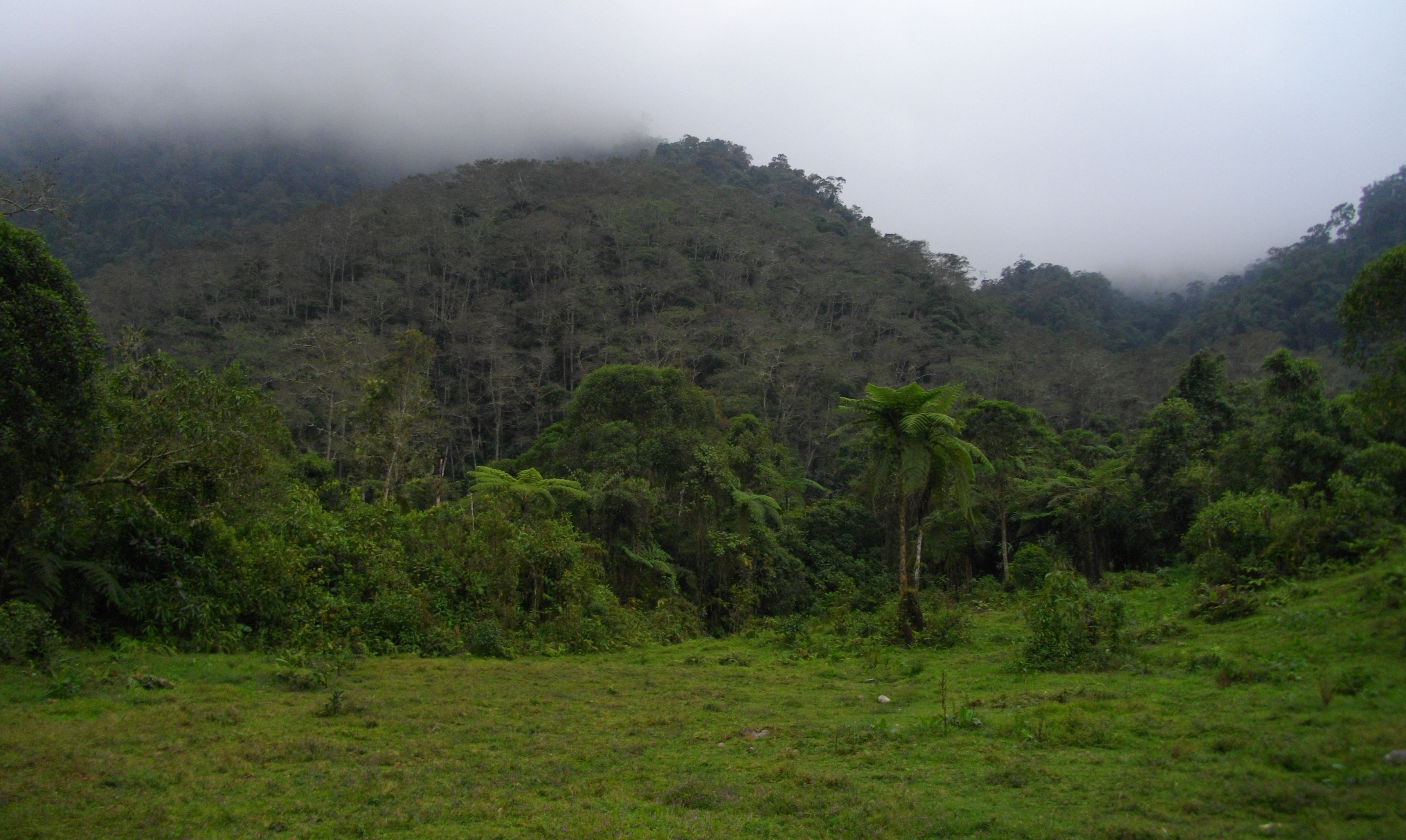 image El Páramo