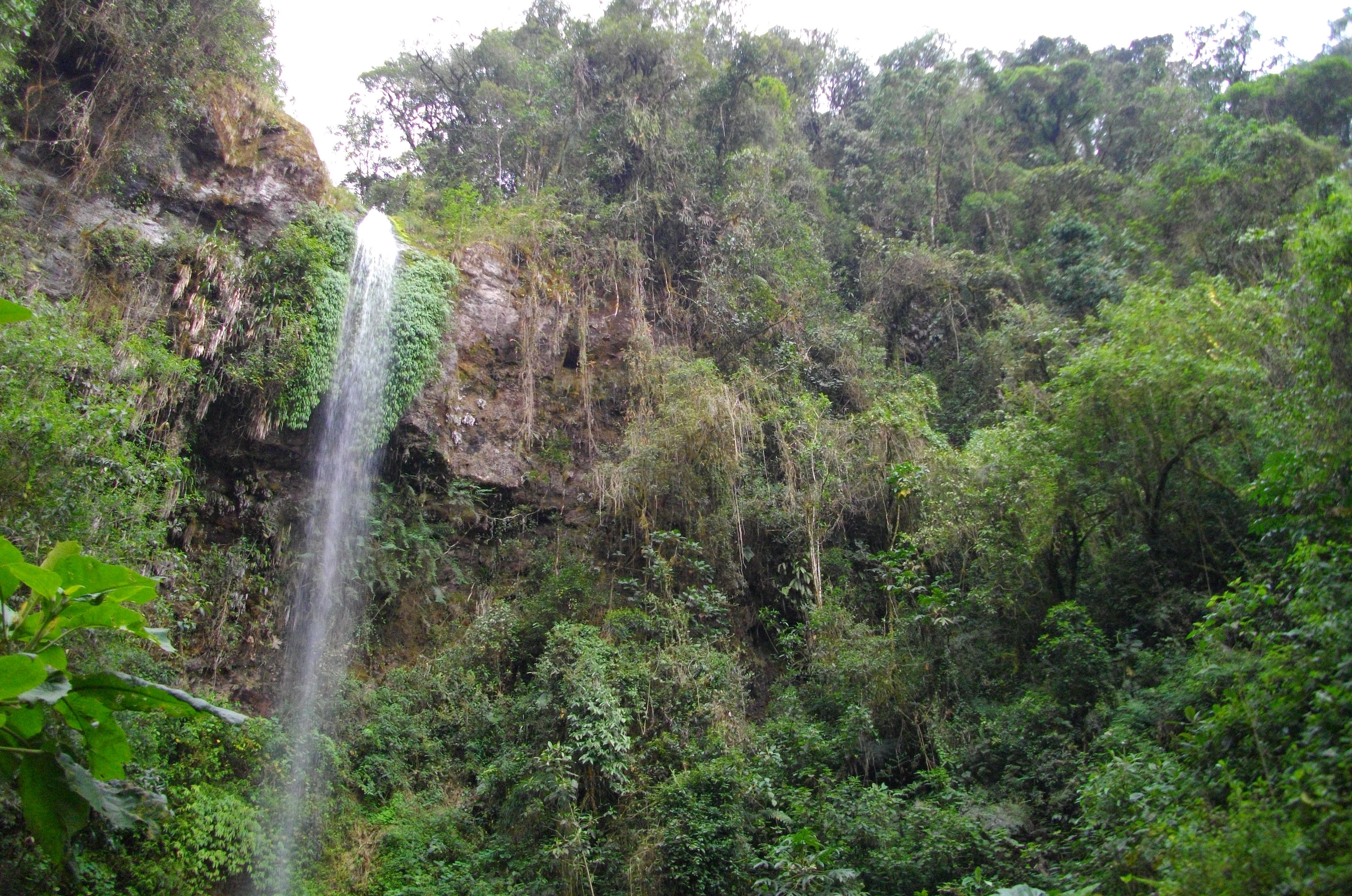 image El Páramo
