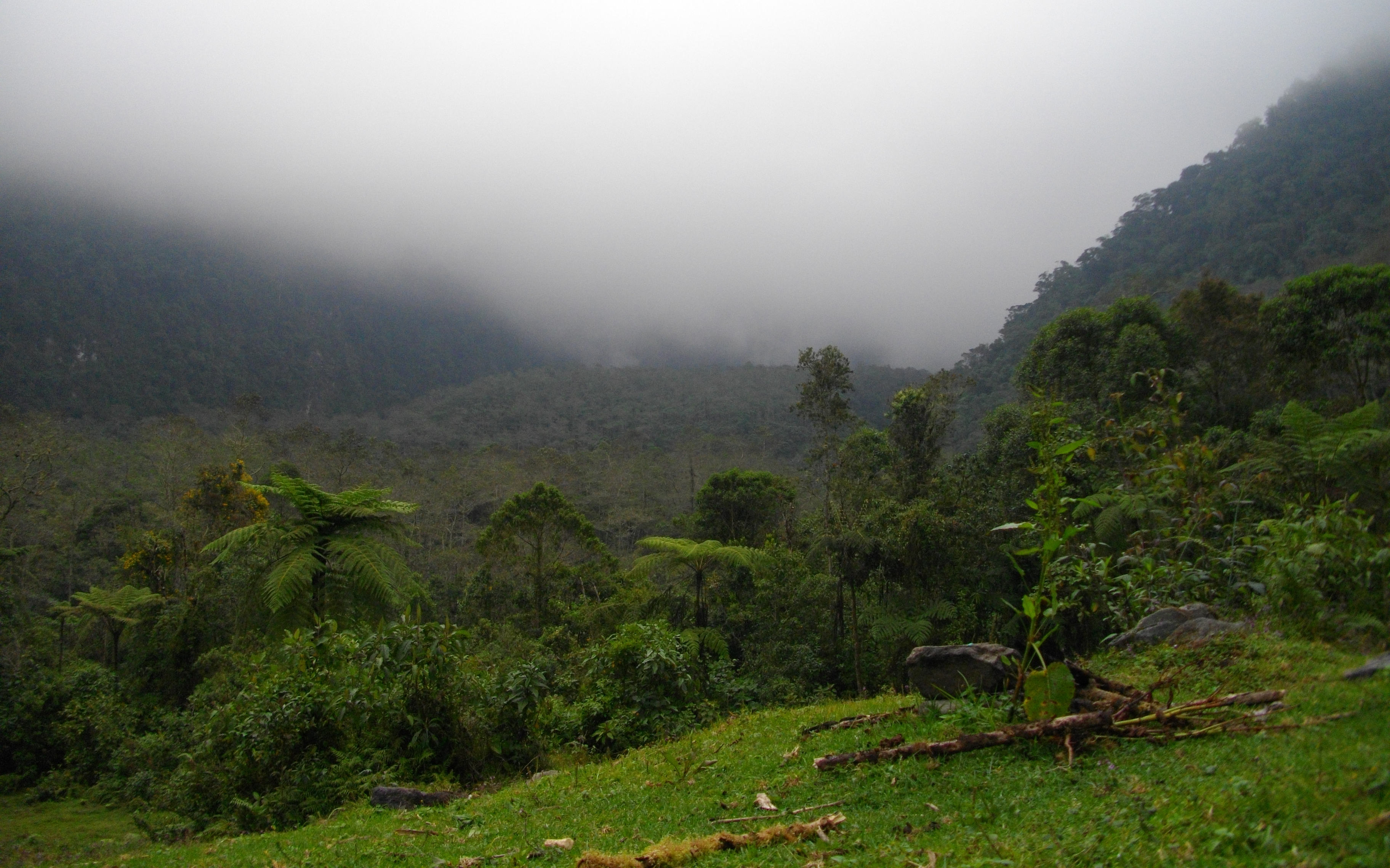 image El Páramo