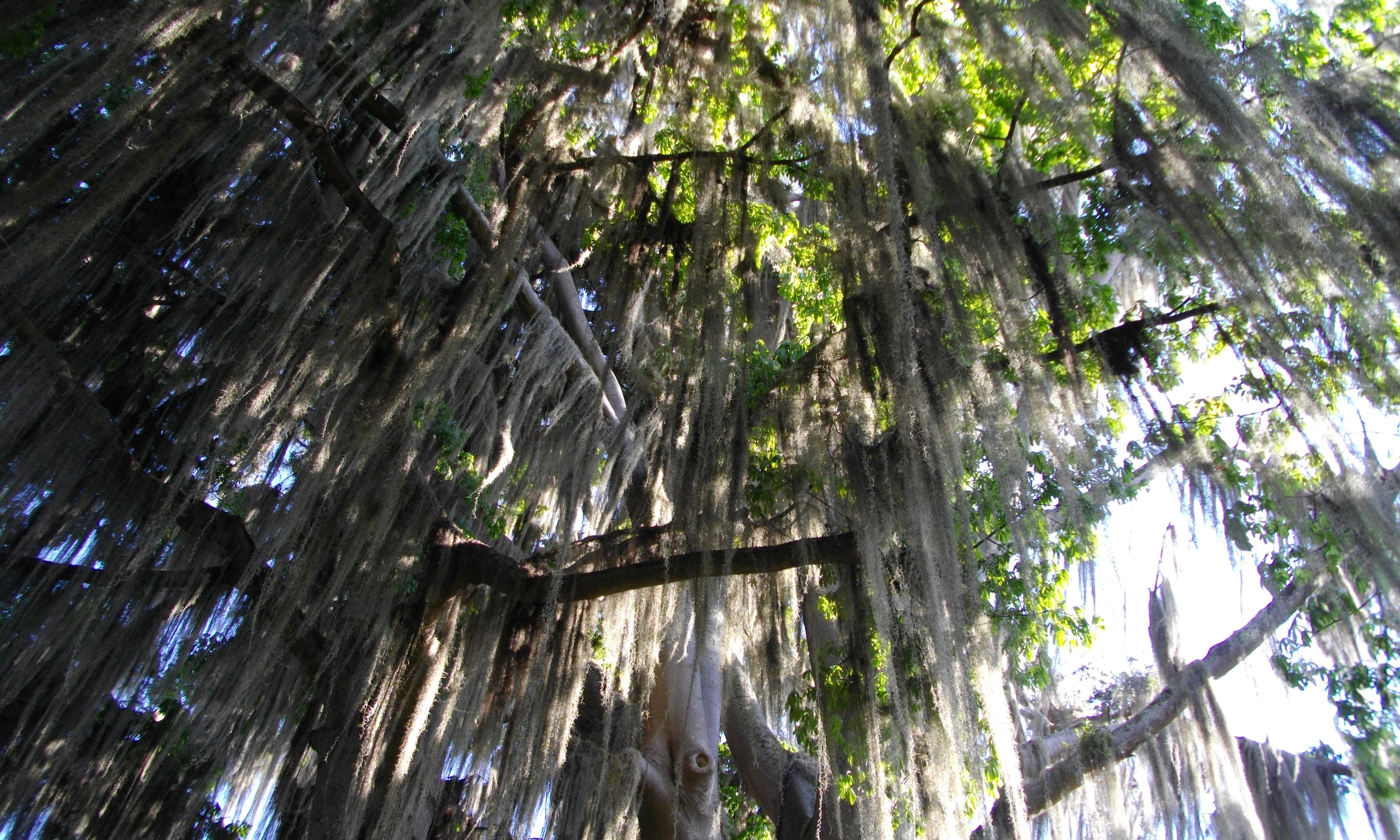image San Gil