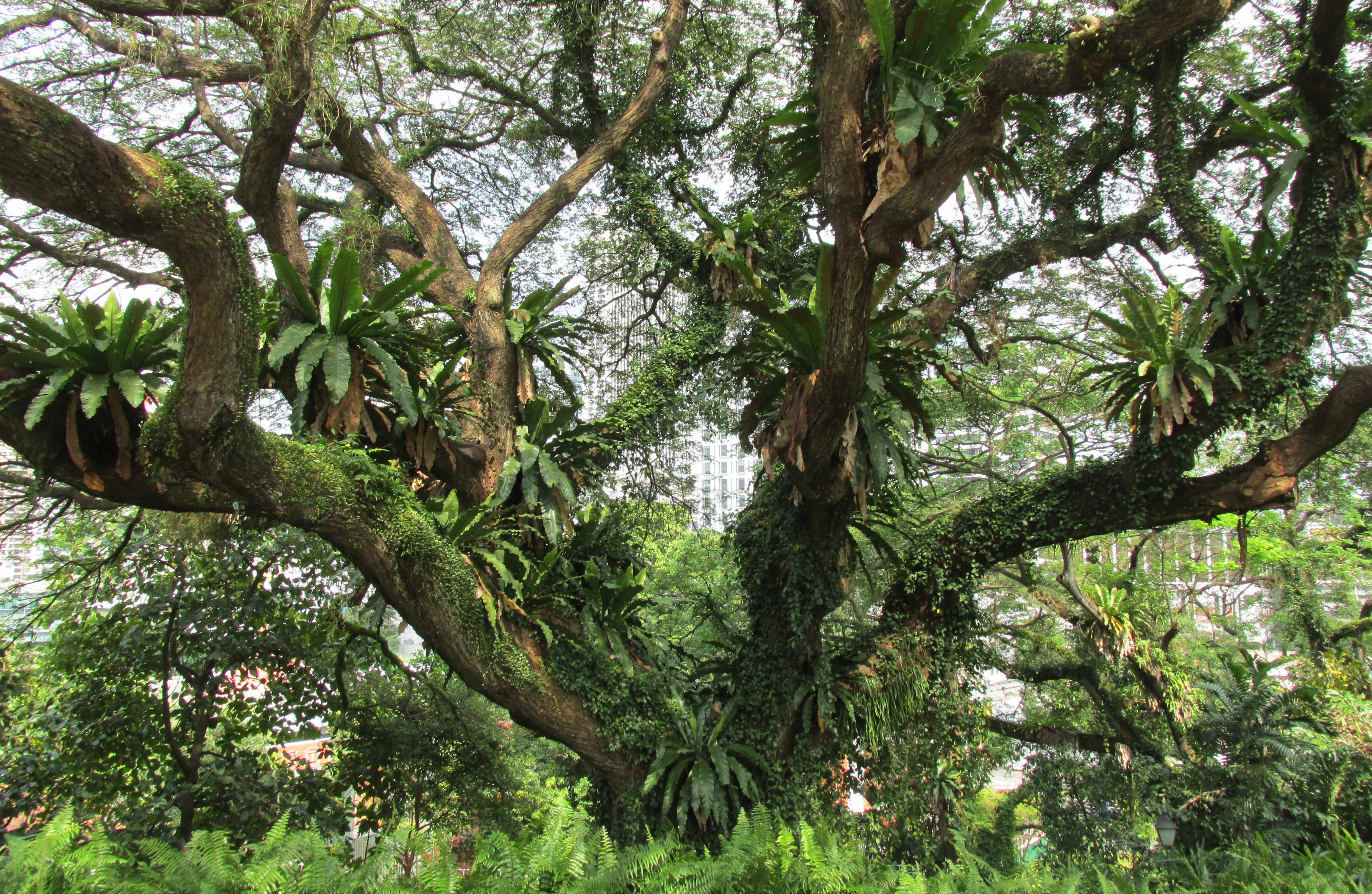 image Singapore