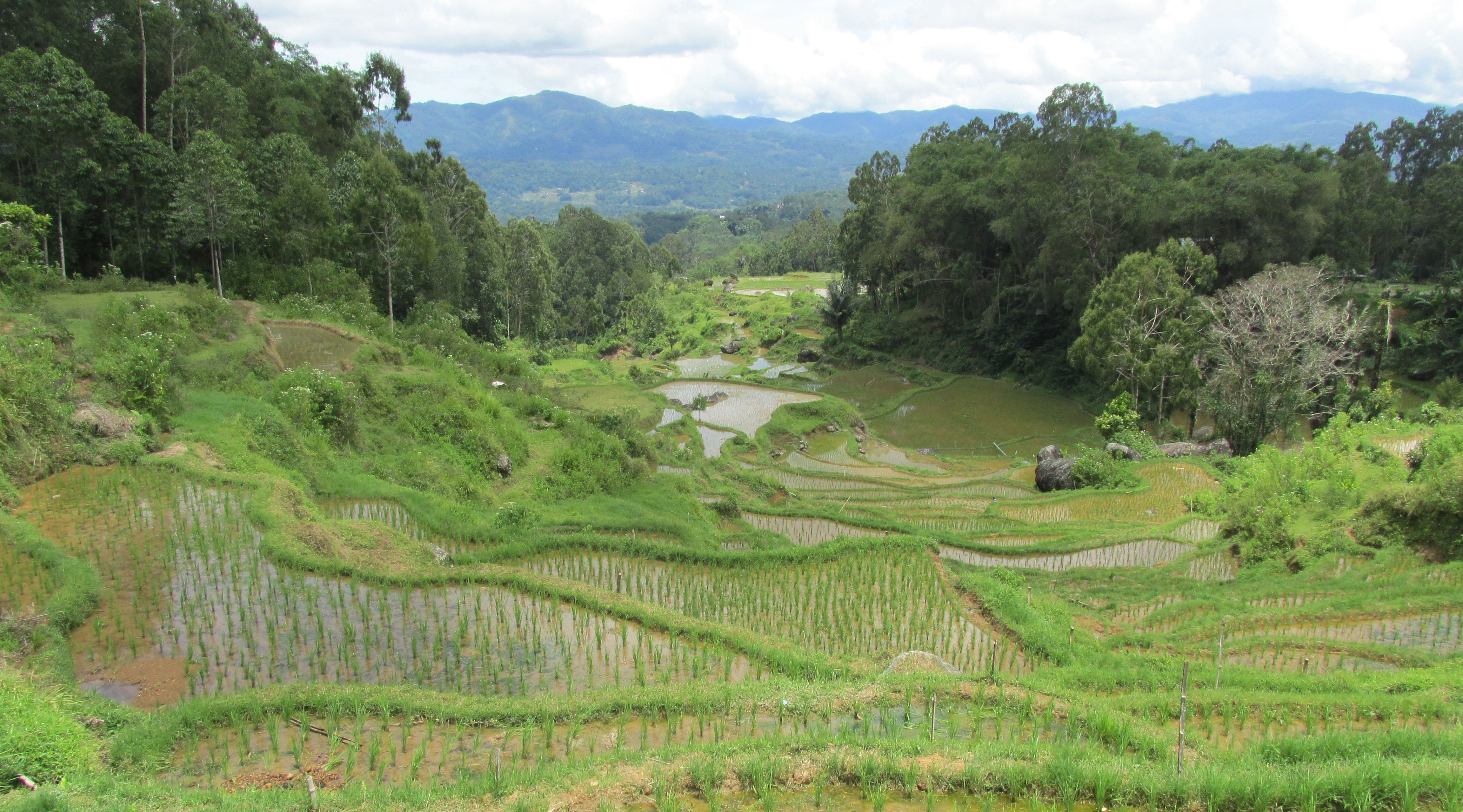 image Sulawesi Selatan