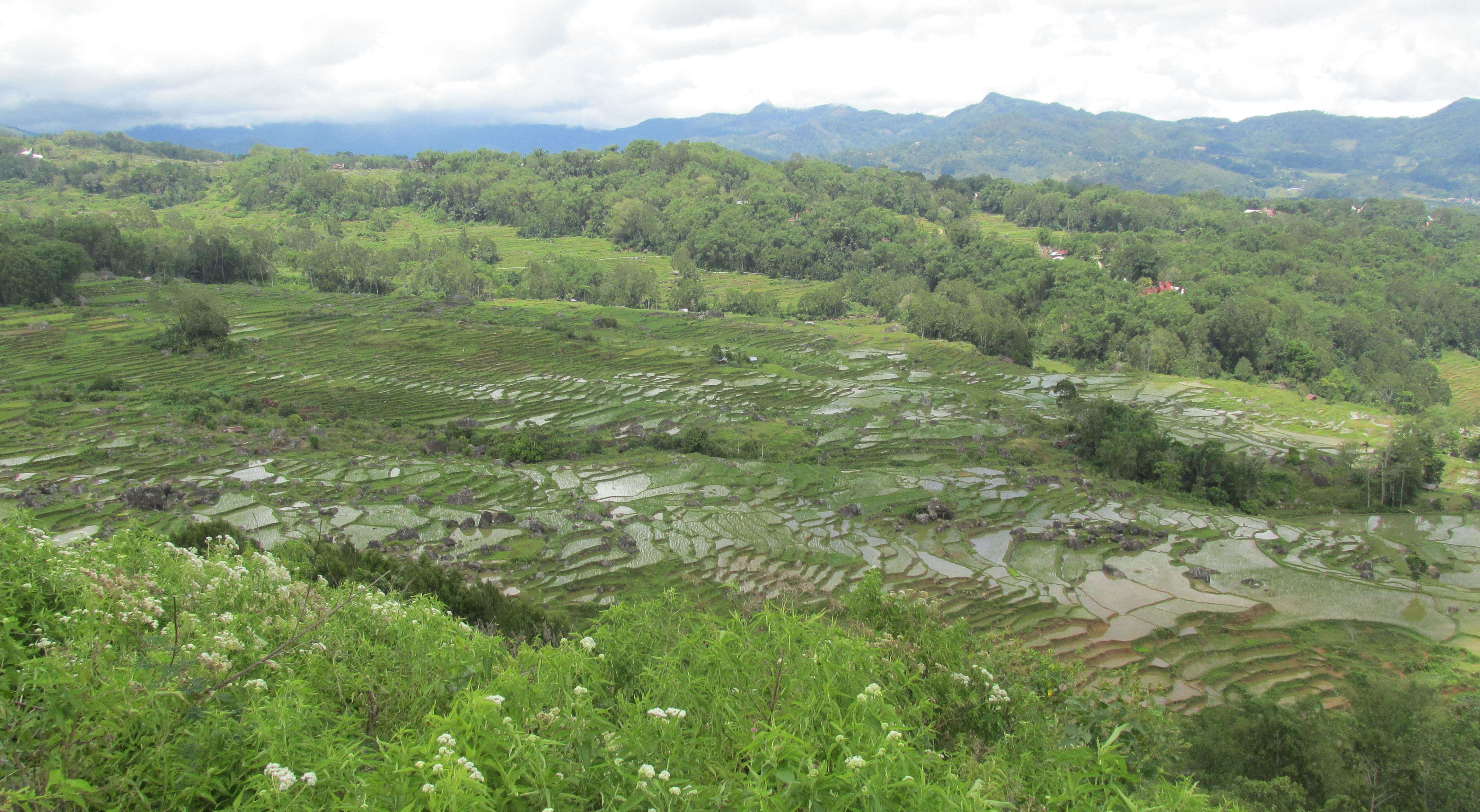 image Sulawesi Selatan