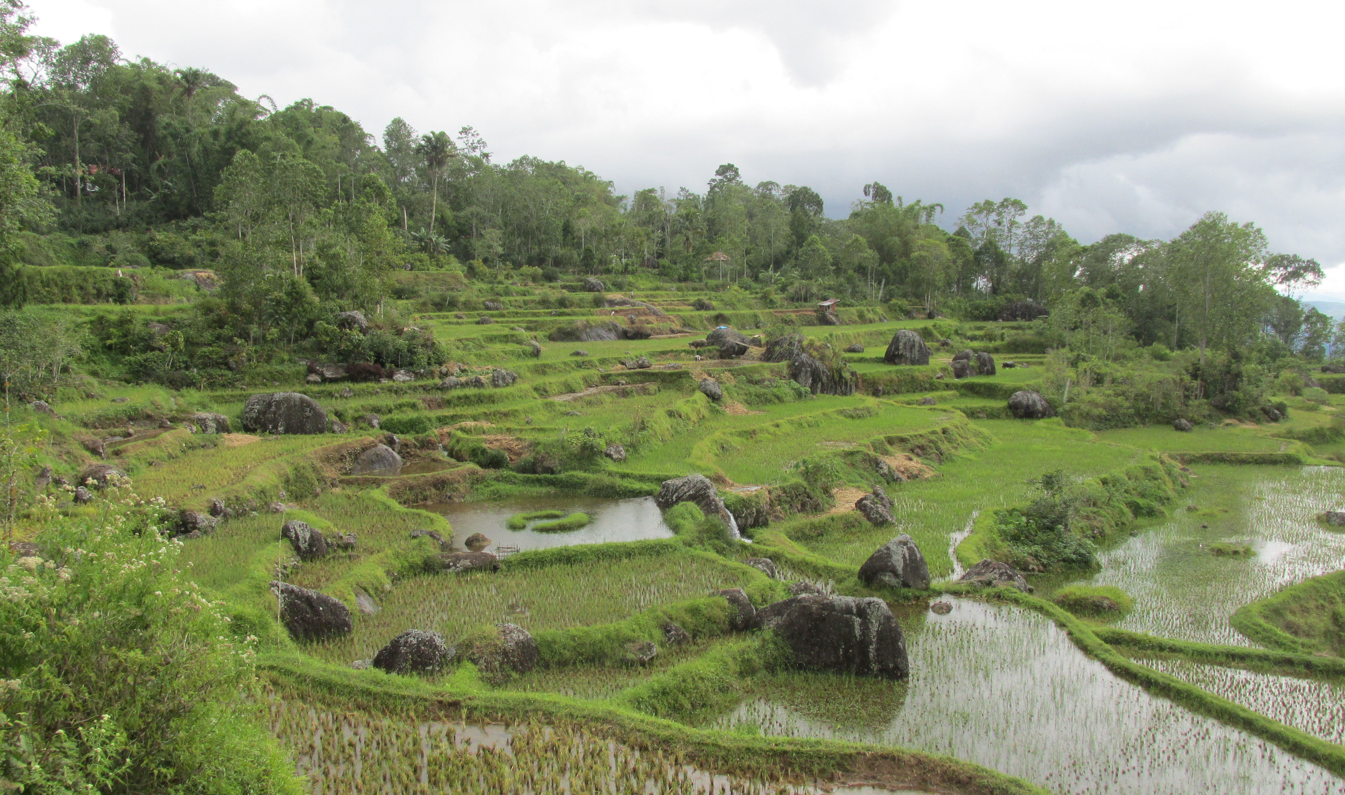 image Sulawesi Selatan