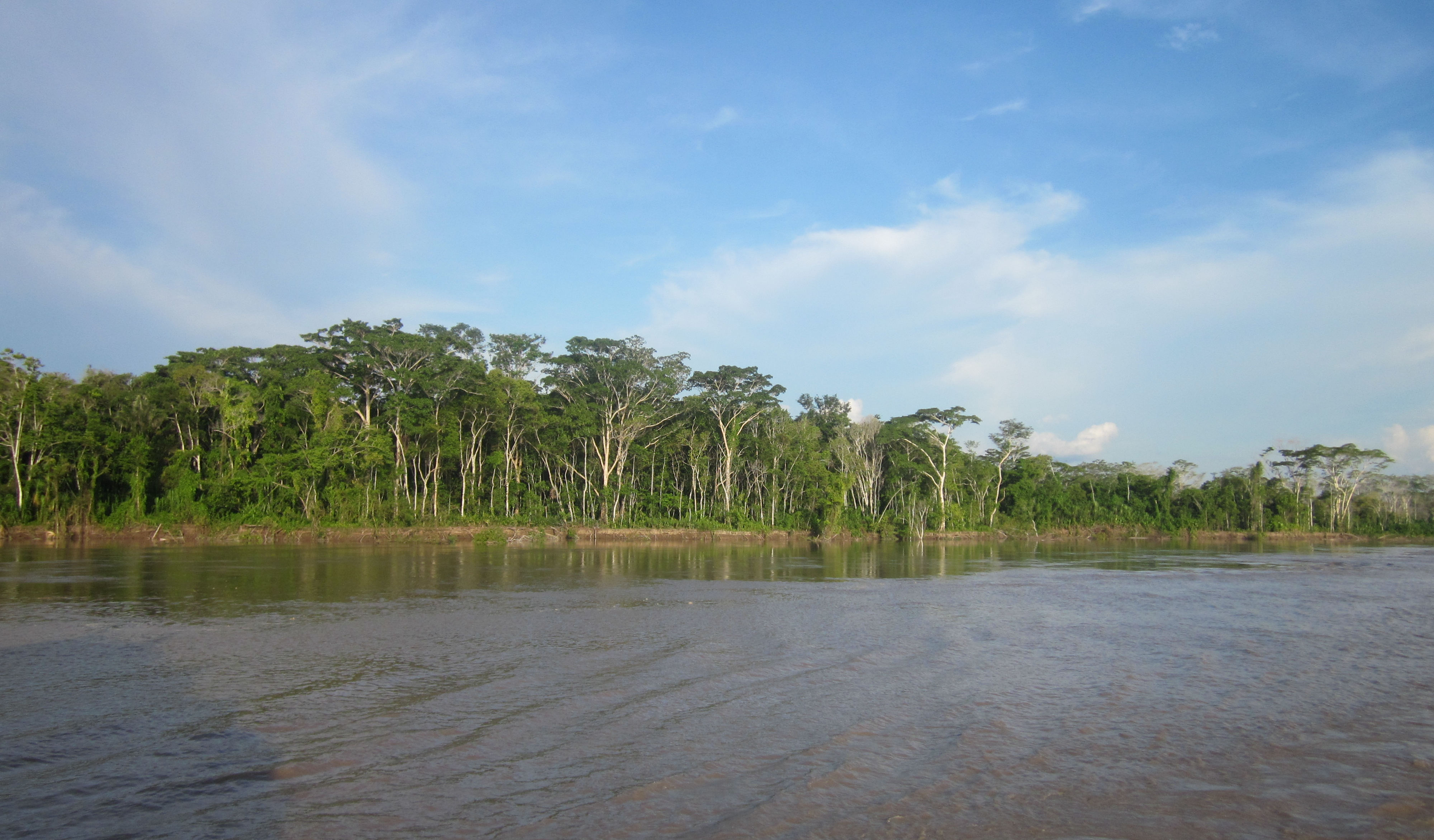 image Ucuyali