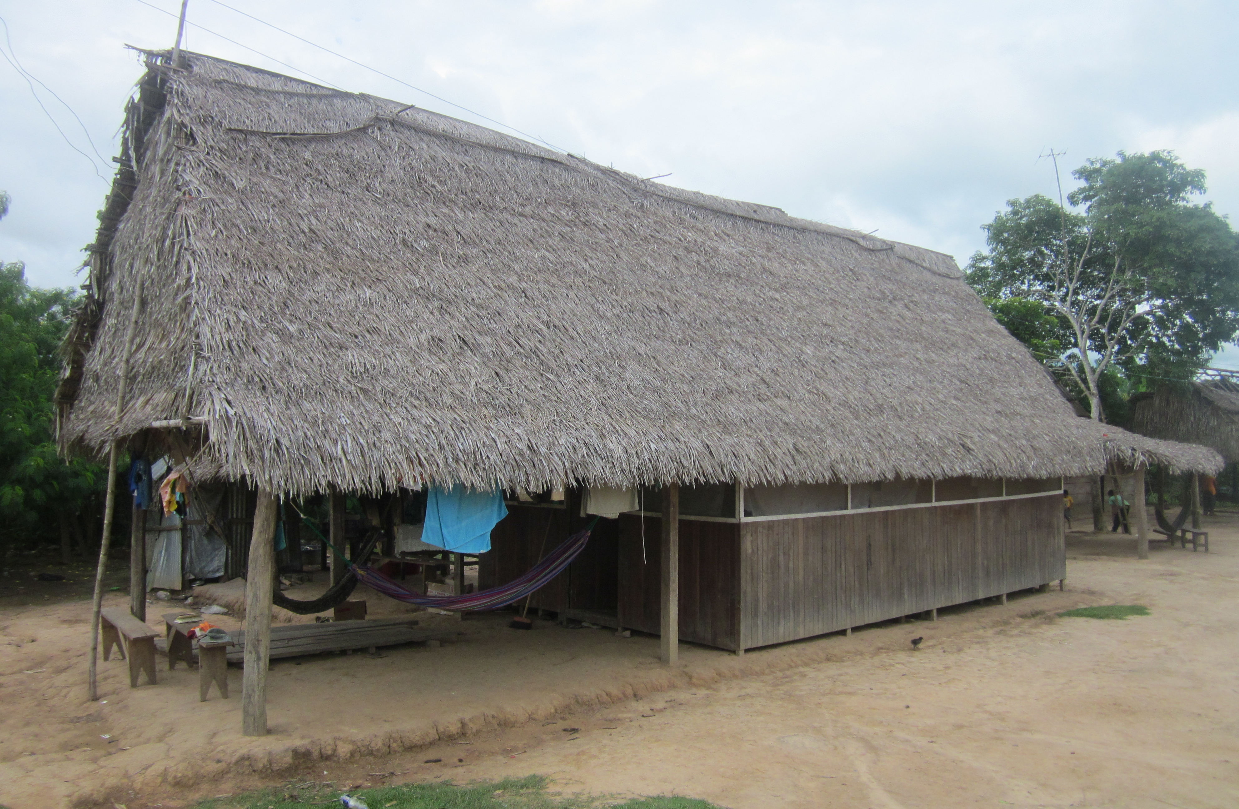 image Ucuyali