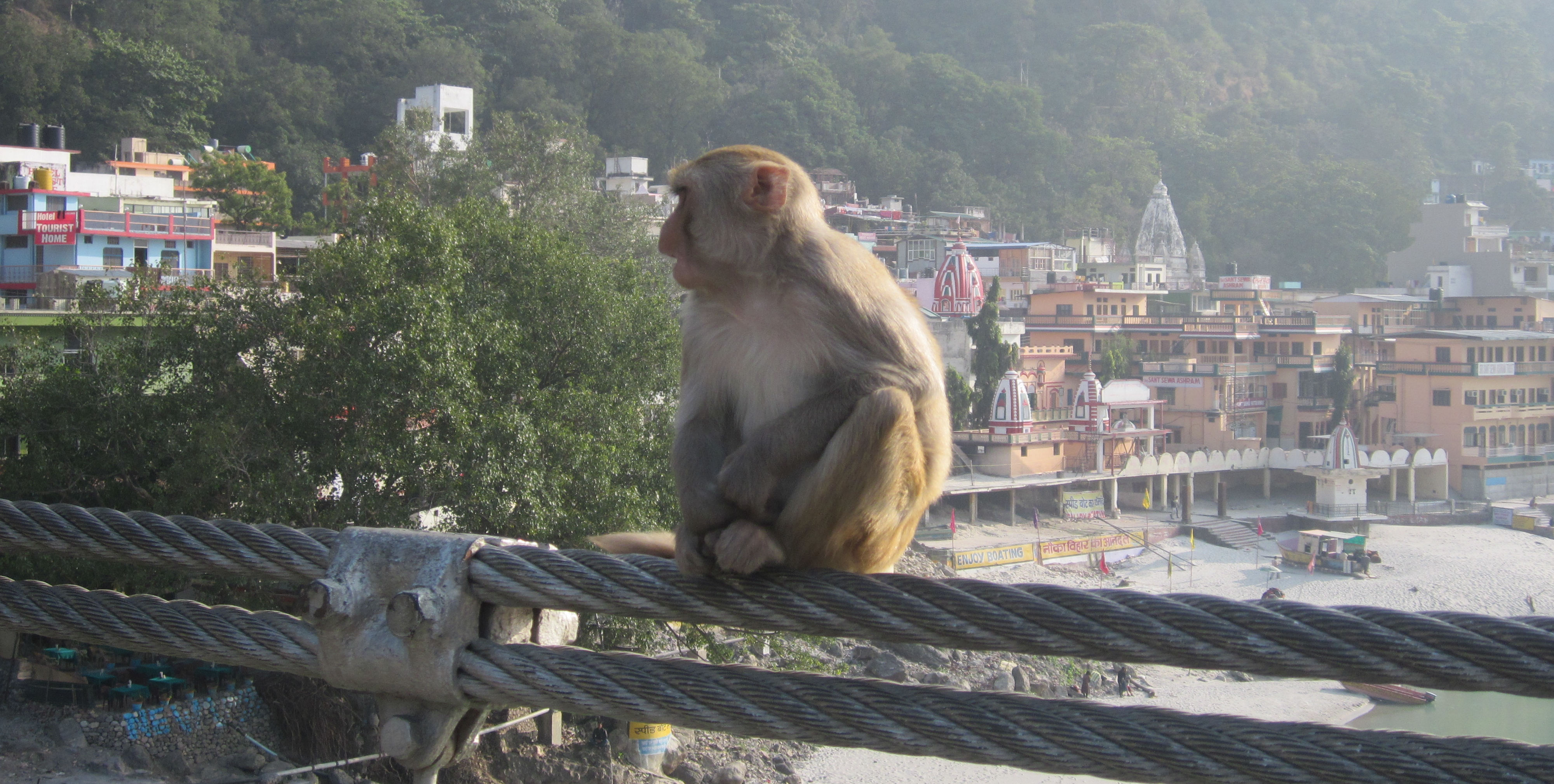 image uttarakhand