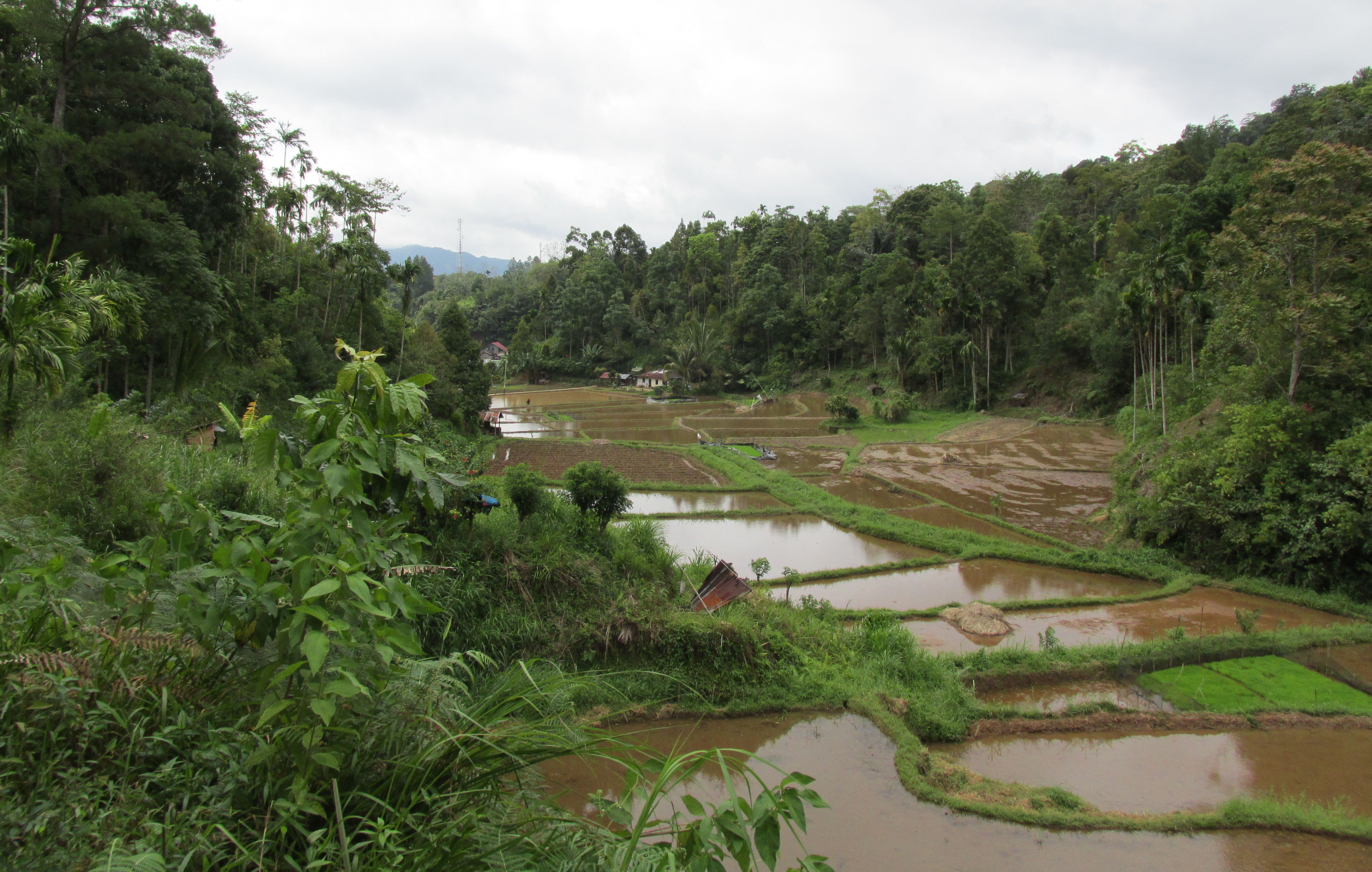 image Sumatera Barat