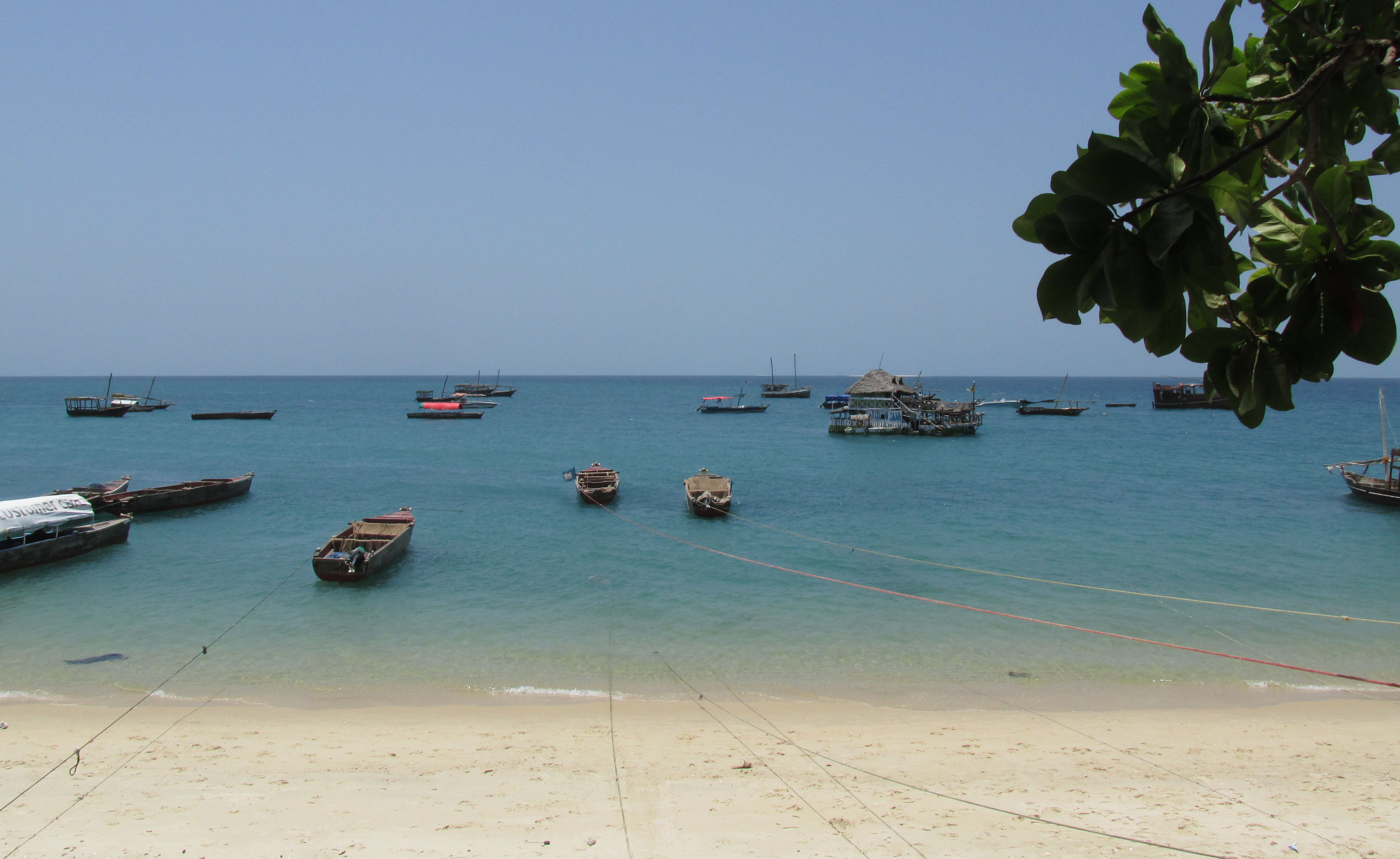 image Zanzibar