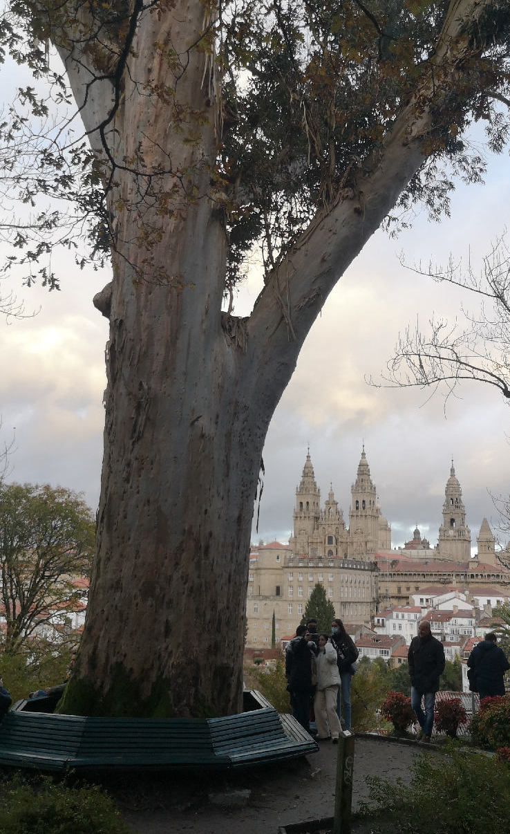 Compostelle