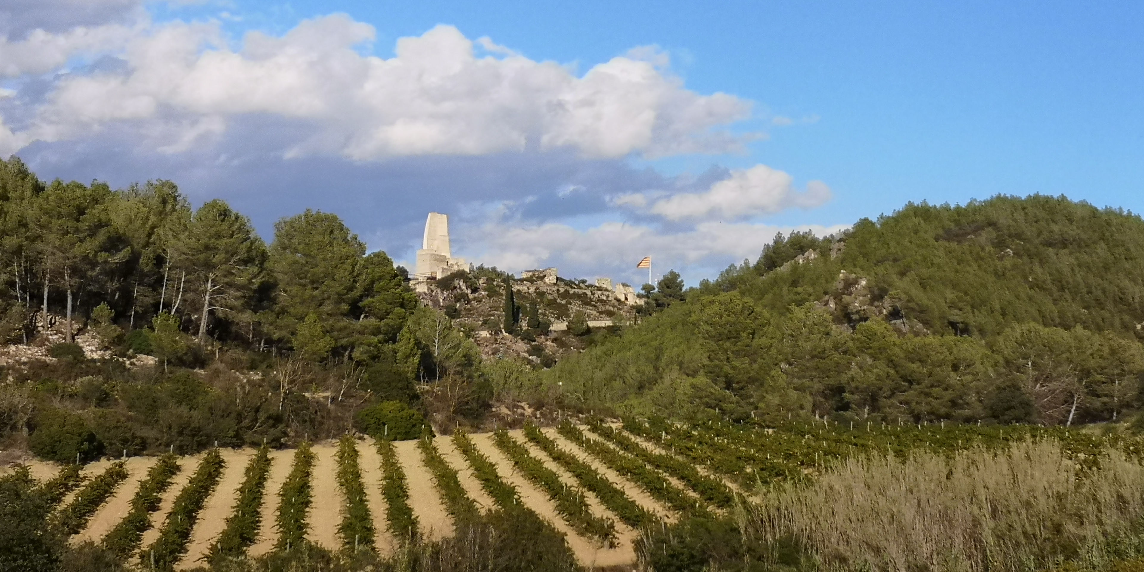 Castell de Subirats