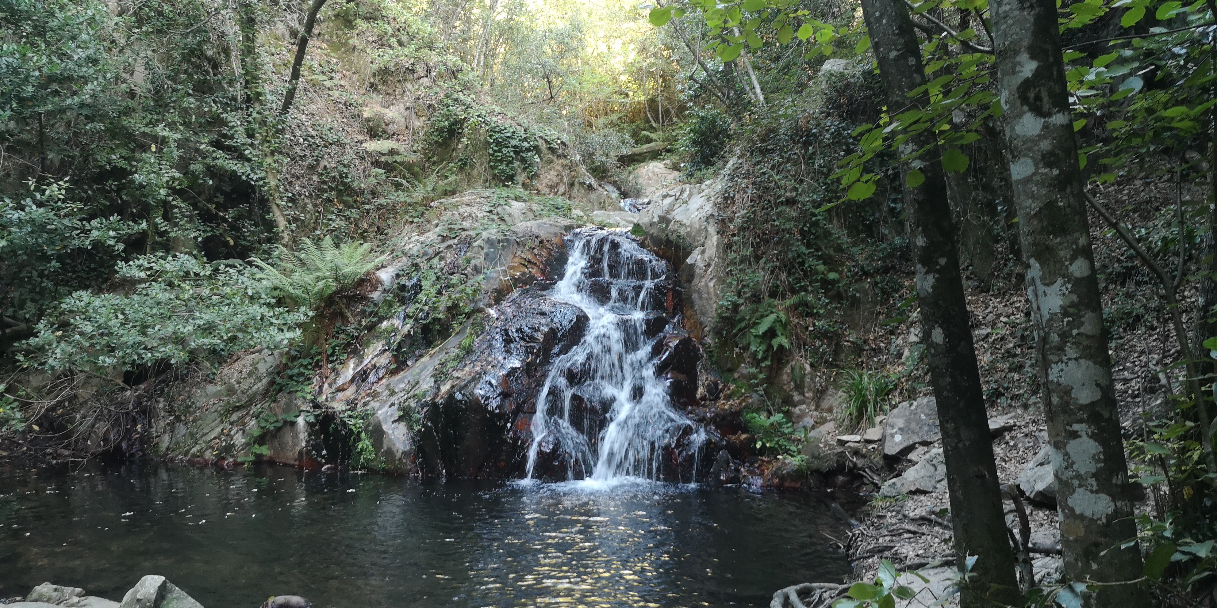 Cascade