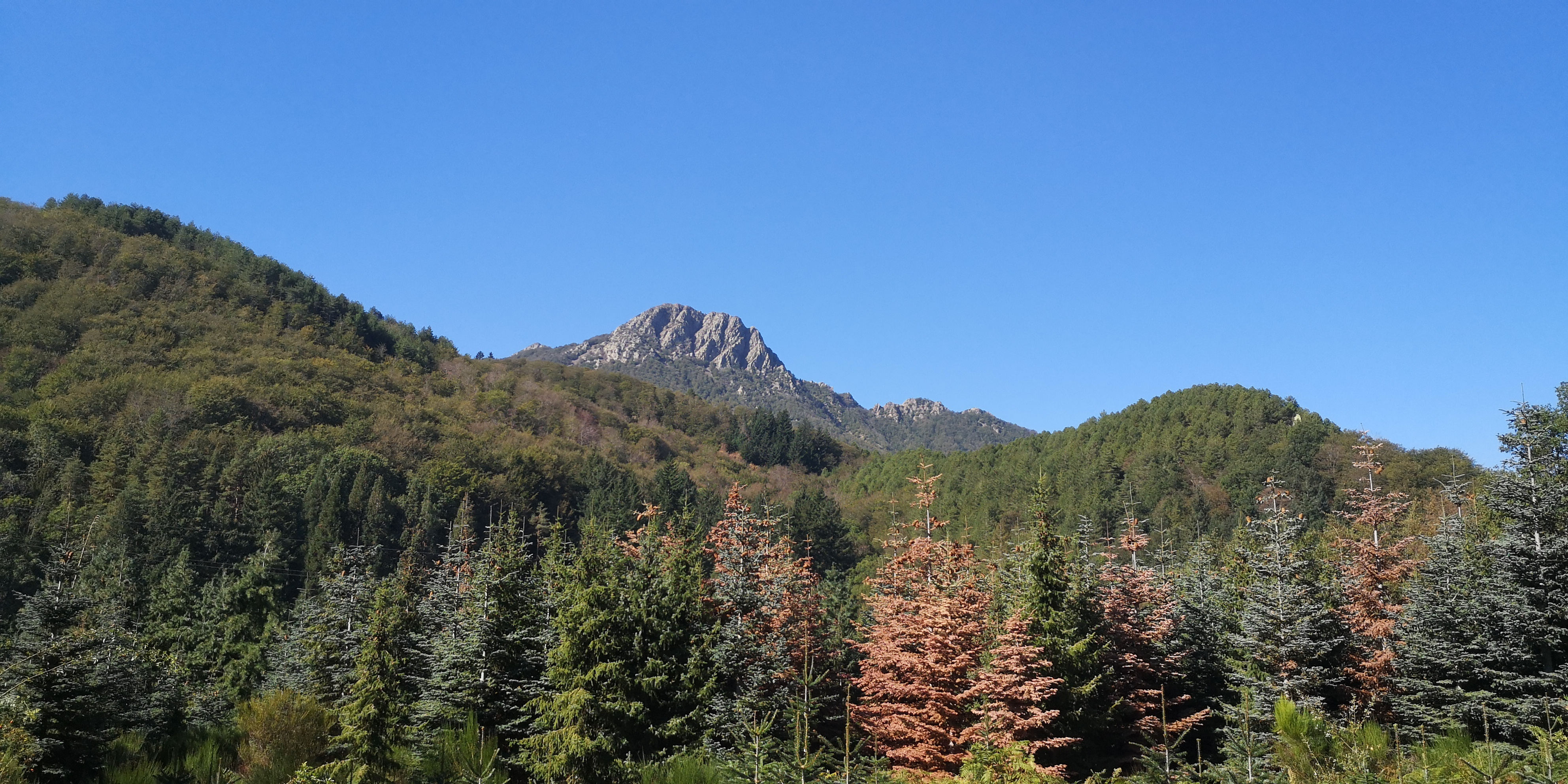 Montseny